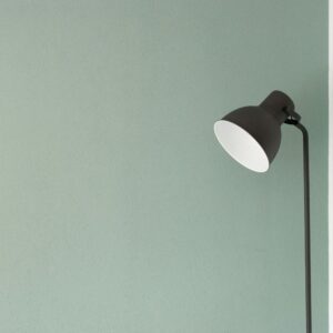 Minimalist Black Floor Lamp